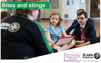 ks2-bites-and-stings