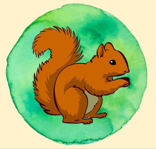 Squirr