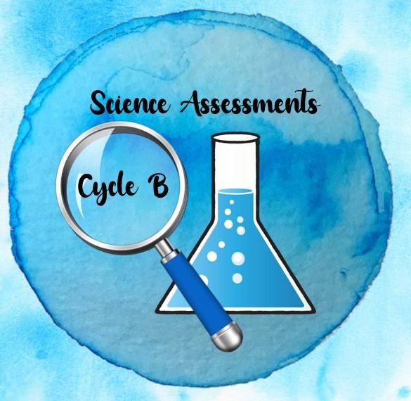 Cycle B