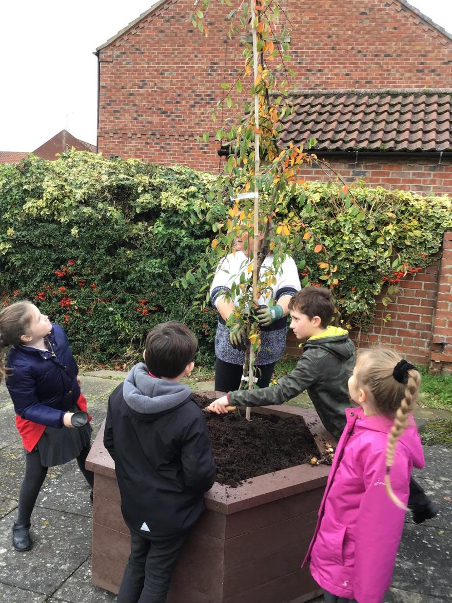 Planting with the Parish Council (3) 