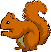 2 SQUIRREL LOGO